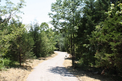 Riparian Trail 67